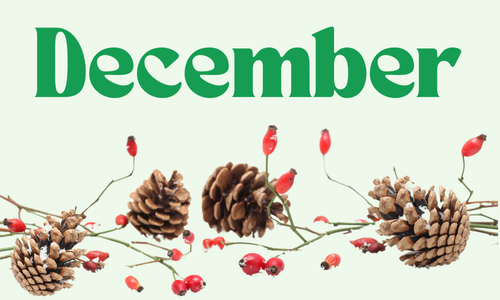 Dec Dec