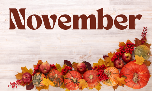 Nov Nov