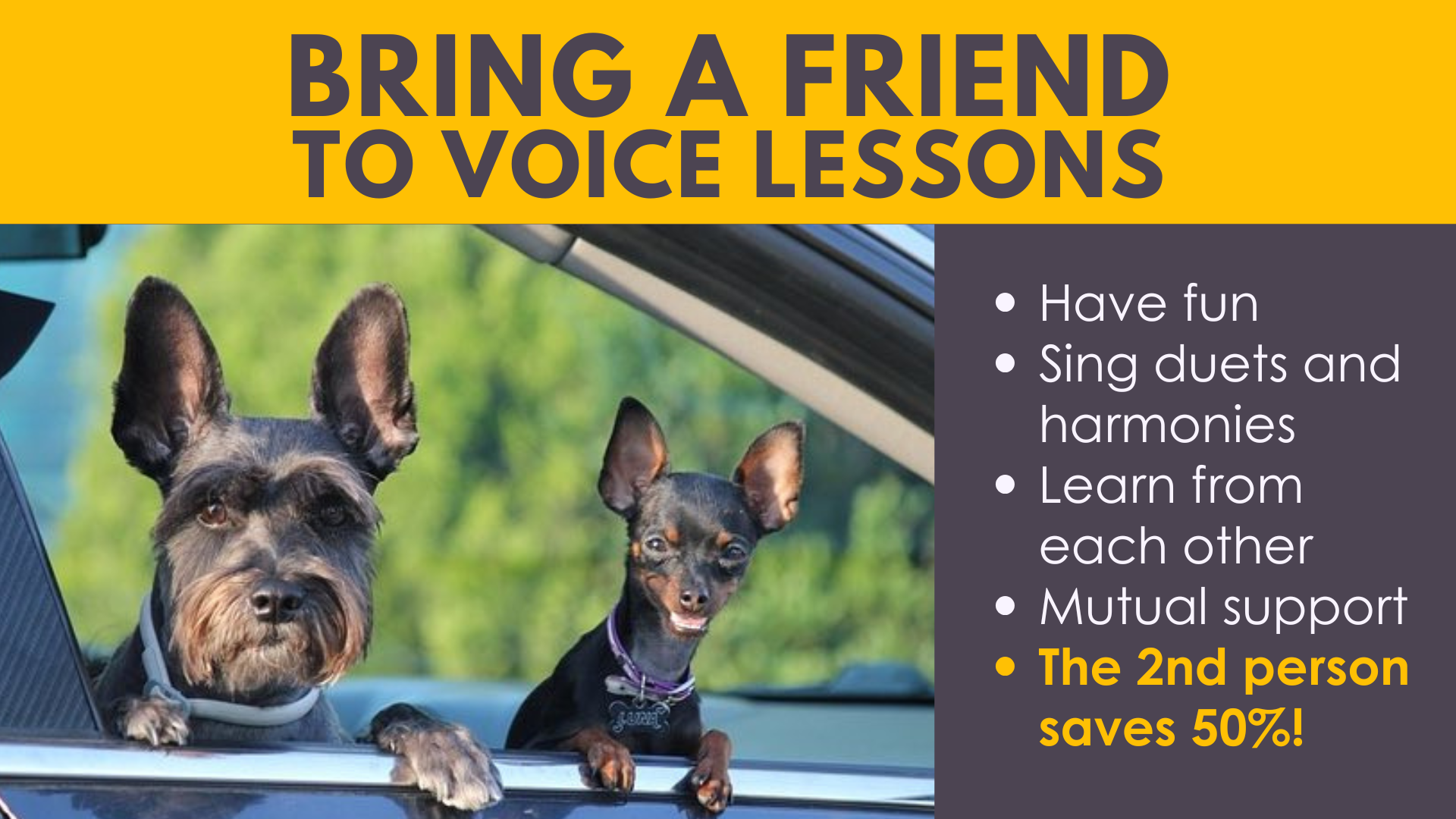 Bring a friend to voice lessons and you each save money - and have fun together!